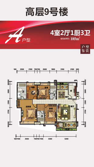 俄罗斯·专享会294VIP(中国区)官方网站